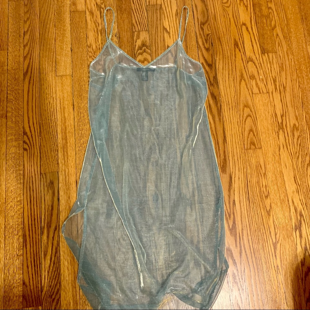 Sheer Long Tank/Dress